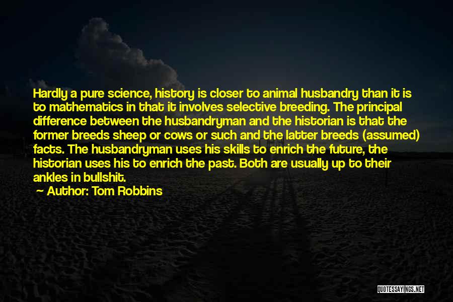 Pure Mathematics Quotes By Tom Robbins