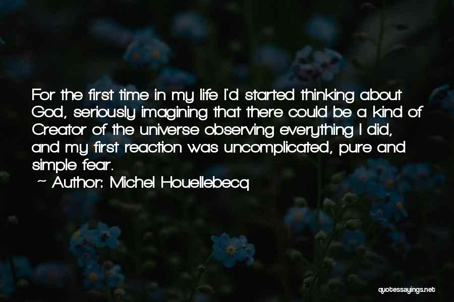 Pure Thinking Quotes By Michel Houellebecq