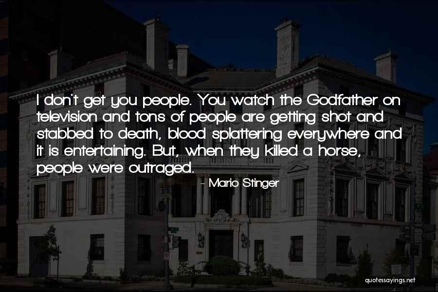 Pureblood Last Names Quotes By Mario Stinger Pureblood Last Names Quotes By Mario Stinger
