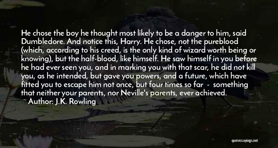 Pureblood Quotes By J.K. Rowling