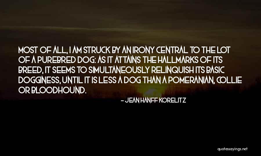 Purebred Dog Quotes By Jean Hanff Korelitz Purebred Dog Quotes By Jean Hanff Korelitz