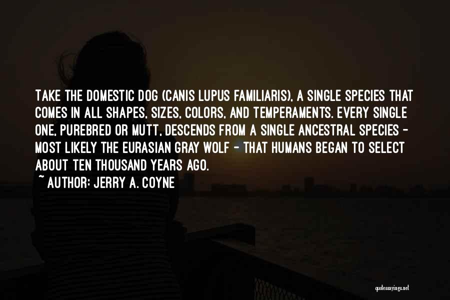 Purebred Dog Quotes By Jerry A. Coyne