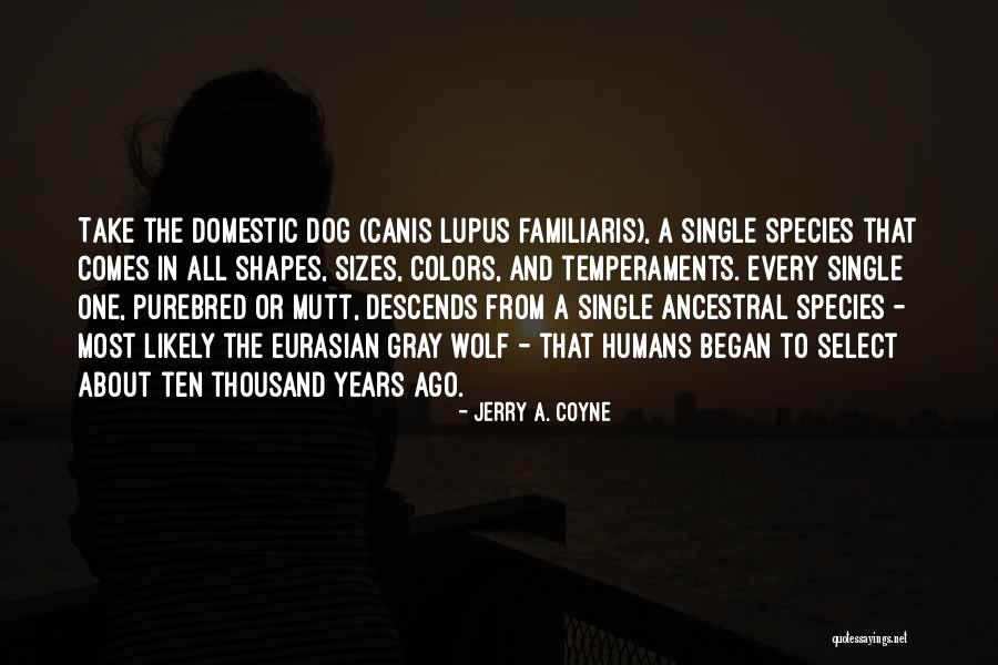 Purebred Dog Quotes By Jerry A. Coyne