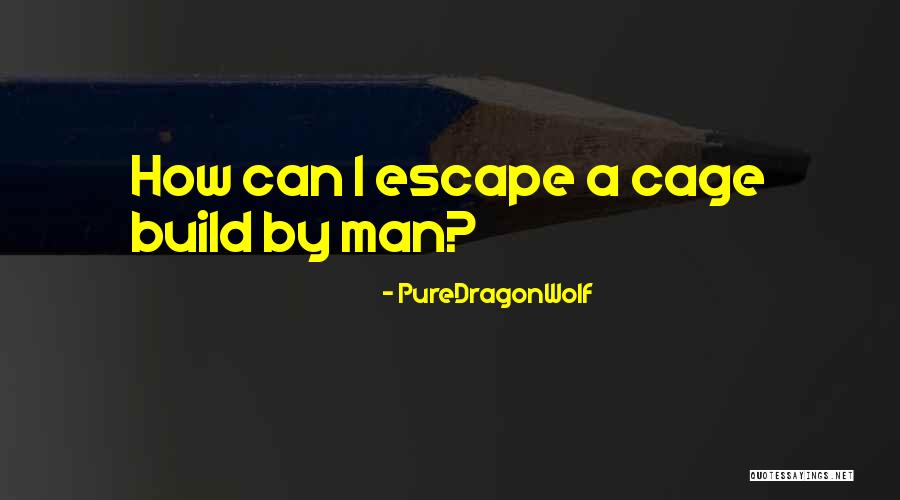 PureDragonWolf Quotes 1846826 PureDragonWolf Quotes 1846826