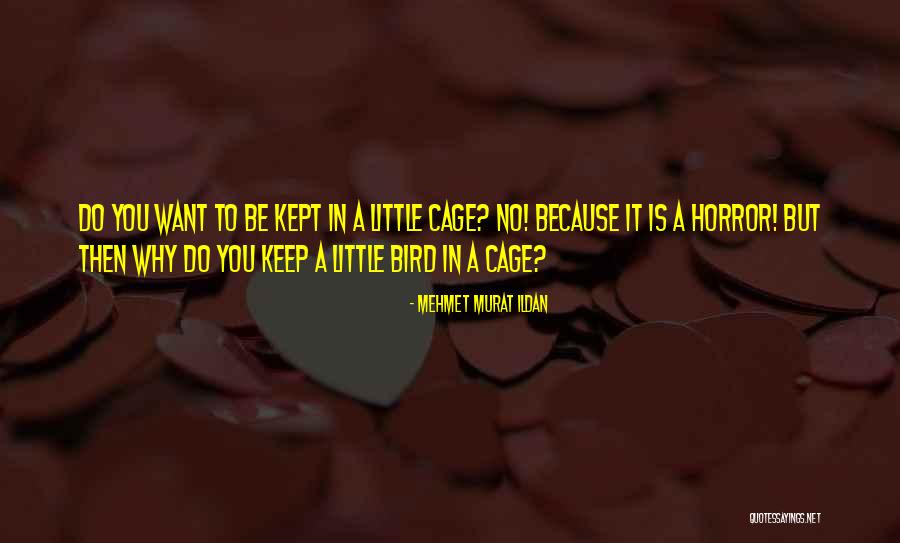 Pureestamper Quotes By Mehmet Murat Ildan Pureestamper Quotes By Mehmet Murat Ildan