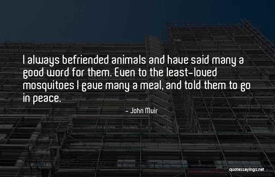 Purgatory The Forgotten Quotes By John Muir Purgatory The Forgotten Quotes By John Muir
