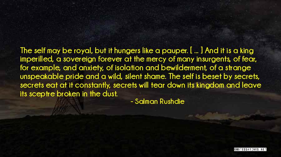 Purici In Casa Quotes By Salman Rushdie Purici In Casa Quotes By Salman Rushdie