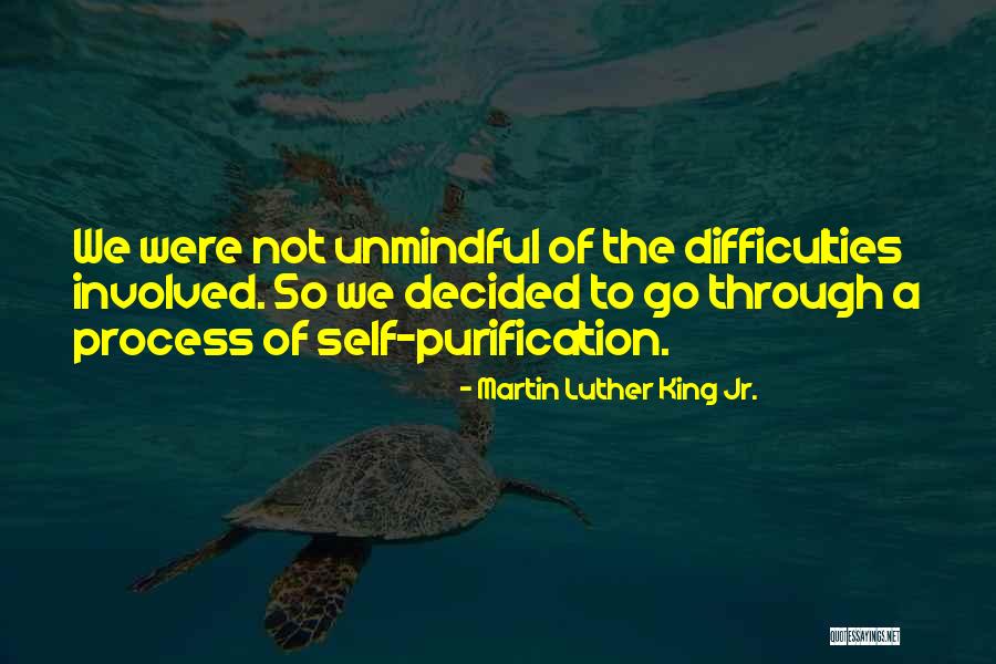 Purification Quotes By Martin Luther King Jr.