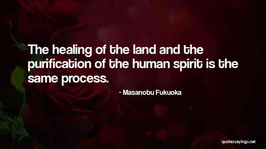 Purification Quotes By Masanobu Fukuoka