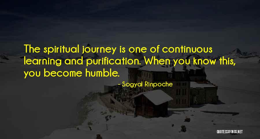 Purification Quotes By Sogyal Rinpoche