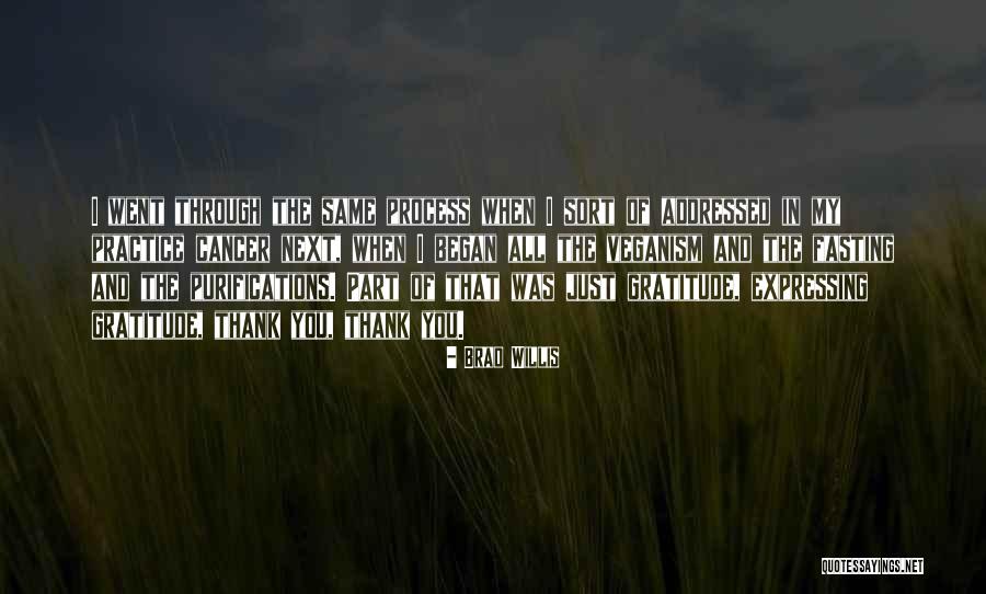 Purifications Quotes By Brad Willis Purifications Quotes By Brad Willis