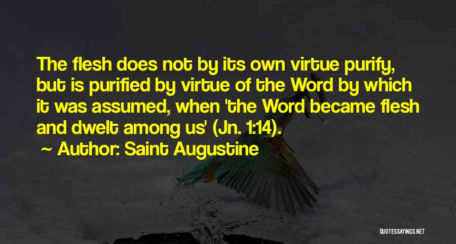 Purified Quotes By Saint Augustine