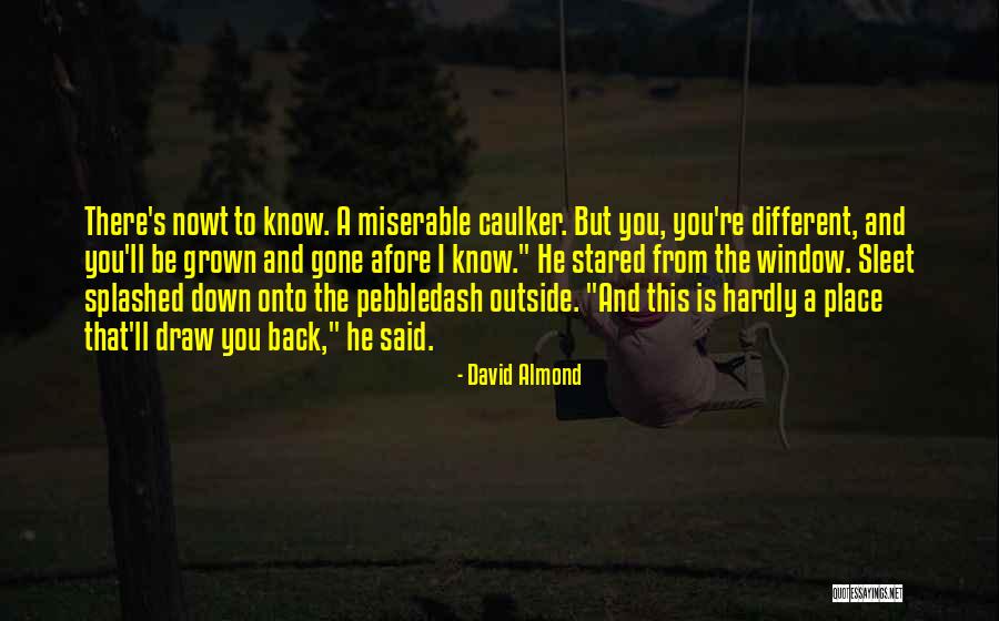 Purifoy Artist Quotes By David Almond Purifoy Artist Quotes By David Almond