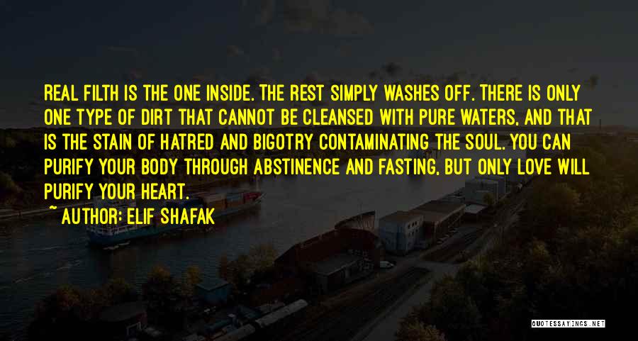 Purify Your Heart Quotes By Elif Shafak