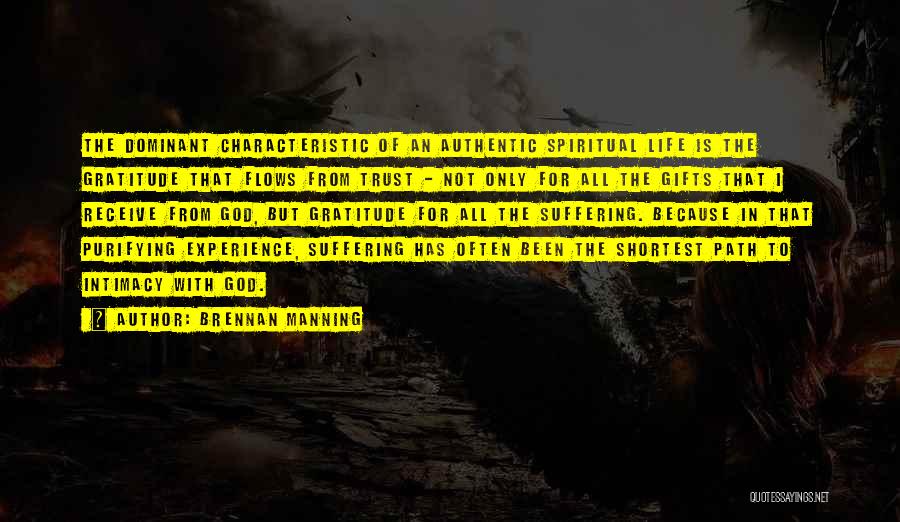 Purifying Quotes By Brennan Manning