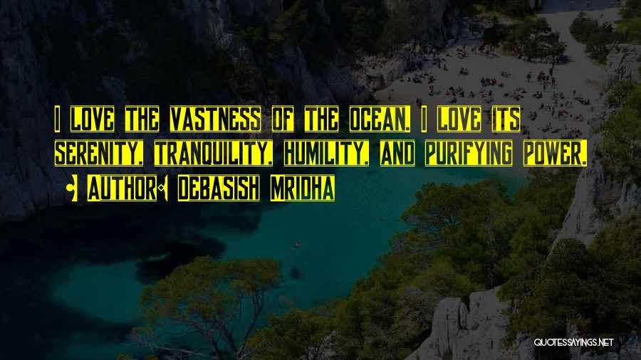 Purifying Quotes By Debasish Mridha