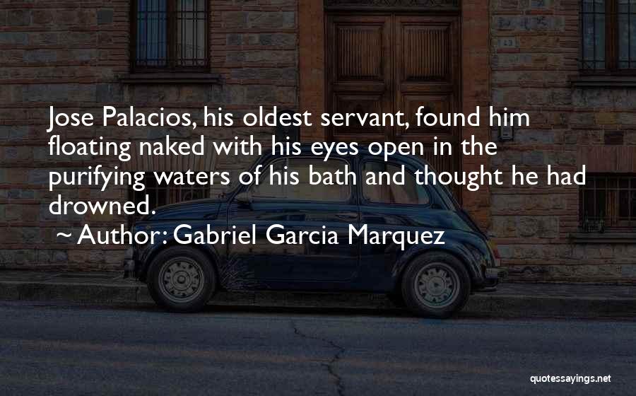 Purifying Quotes By Gabriel Garcia Marquez