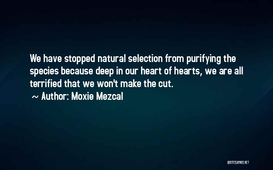 Purifying Quotes By Moxie Mezcal