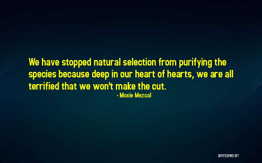 Purifying Selection Quotes By Moxie Mezcal Purifying Selection Quotes By Moxie Mezcal