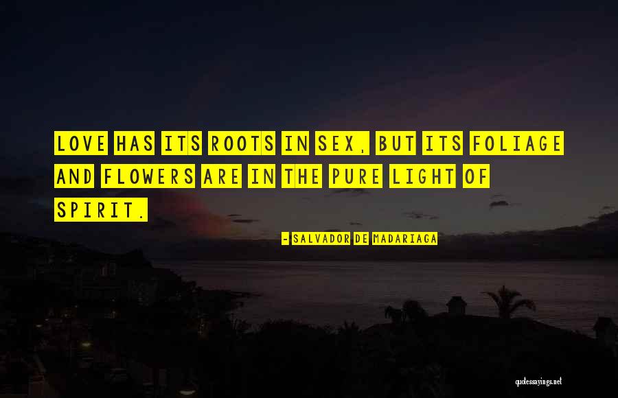 Purington Quotes By Salvador De Madariaga Purington Quotes By Salvador De Madariaga