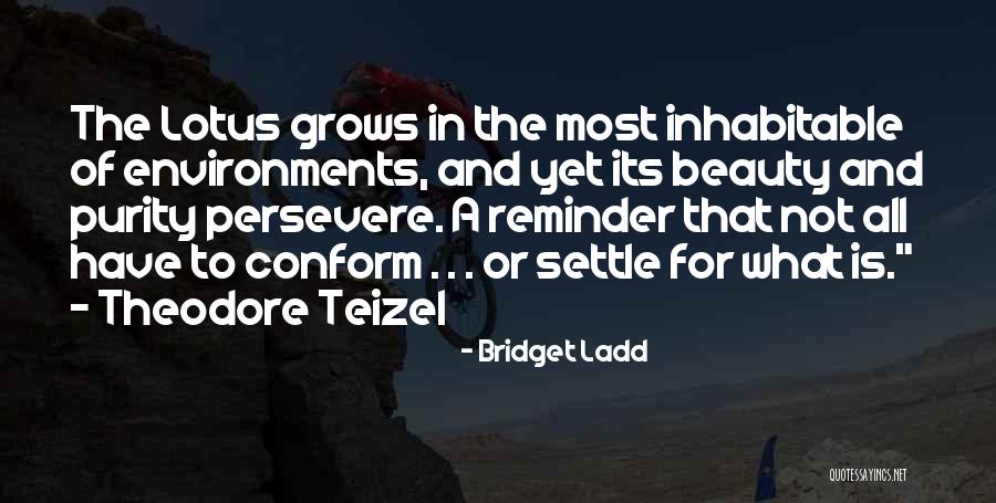 Purity And Beauty Quotes By Bridget Ladd Purity And Beauty Quotes By Bridget Ladd