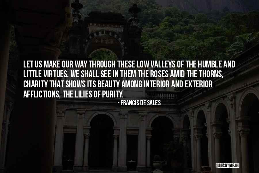 Purity And Beauty Quotes By Francis De Sales Purity And Beauty Quotes By Francis De Sales