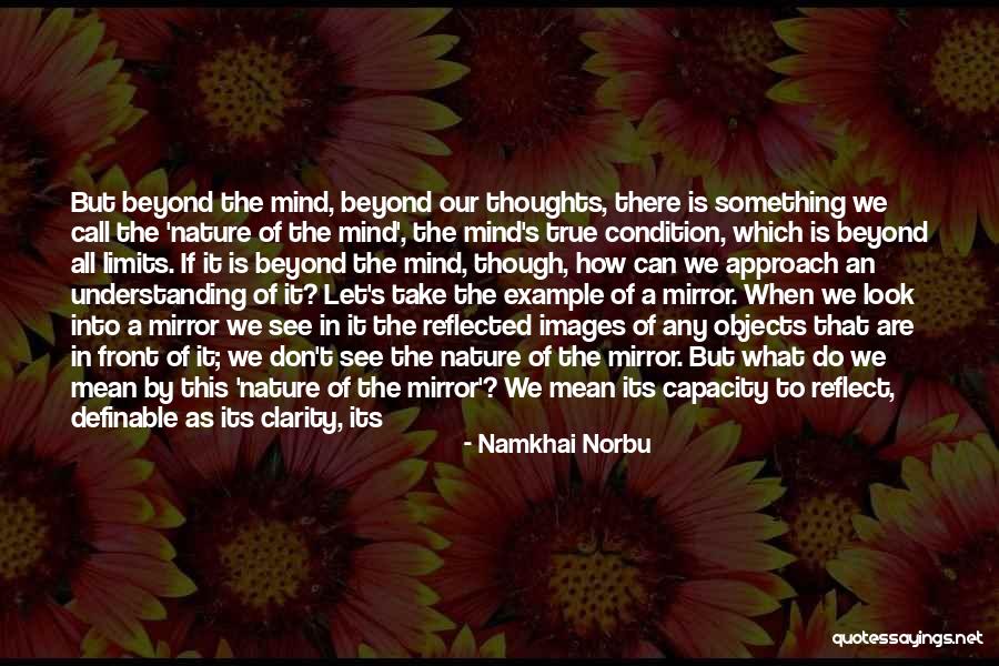 Purity Of Body Quotes By Namkhai Norbu Purity Of Body Quotes By Namkhai Norbu