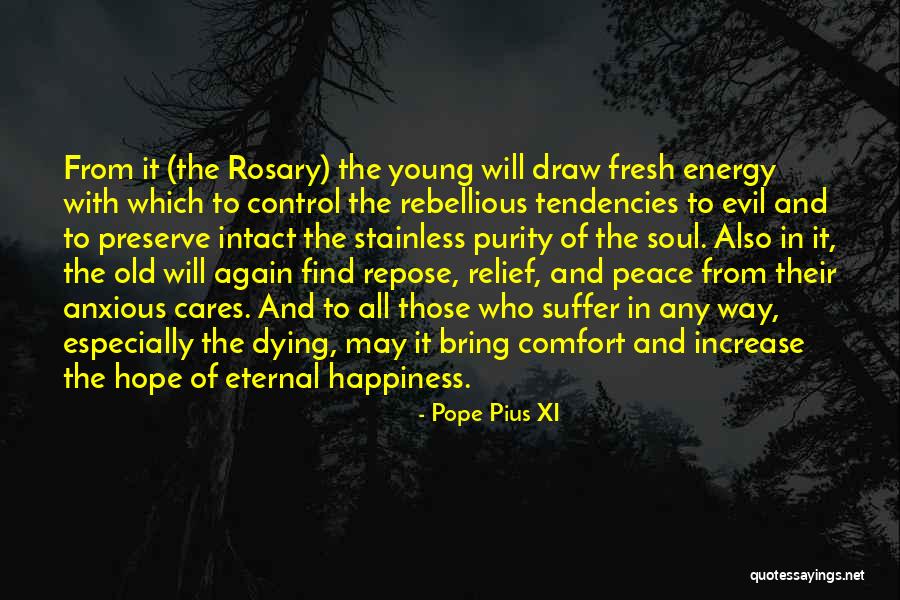 Purity Of Happiness Quotes By Pope Pius XI Purity Of Happiness Quotes By Pope Pius XI