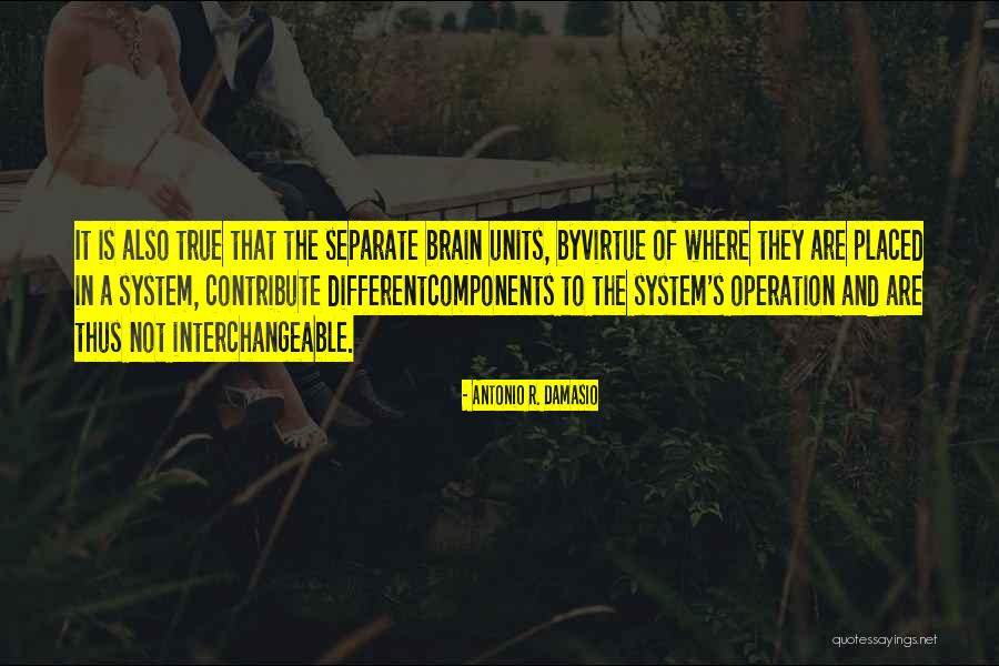 Puro Mula Quotes By Antonio R. Damasio Puro Mula Quotes By Antonio R. Damasio