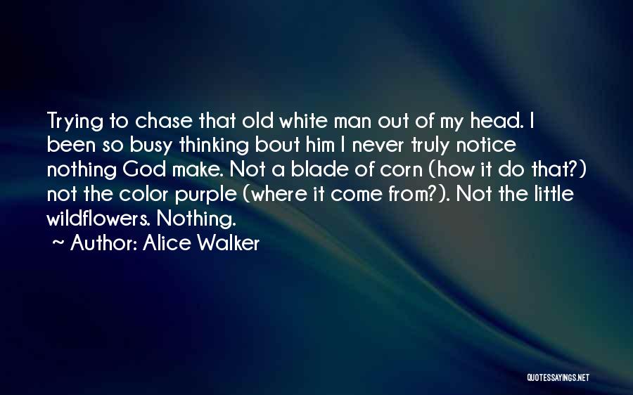 Purple Color Quotes By Alice Walker