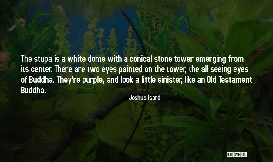 Purple Eyes Quotes By Joshua Isard