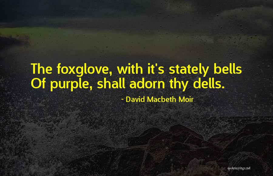 Purple Flower Quotes By David Macbeth Moir Purple Flower Quotes By David Macbeth Moir