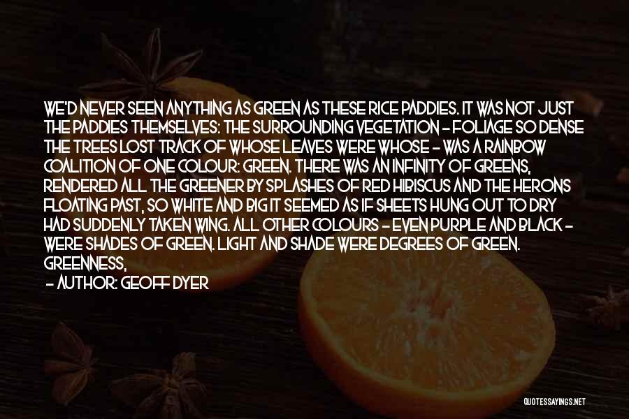 Purple Hibiscus Quotes By Geoff Dyer