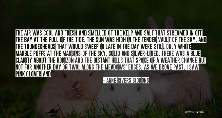 Purple Sky Quotes By Anne Rivers Siddons