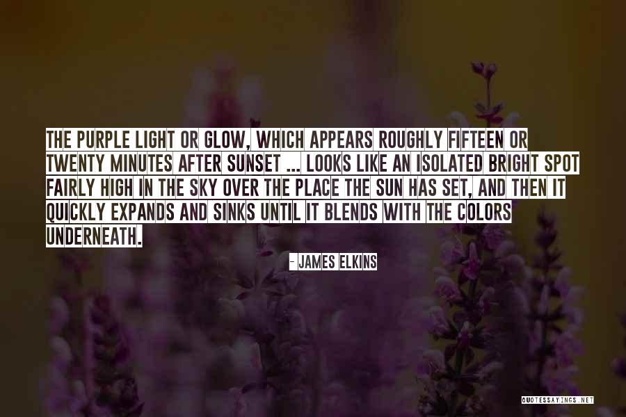 Purple Sky Quotes By James Elkins