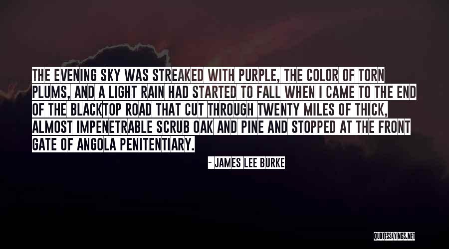 Purple Sky Quotes By James Lee Burke