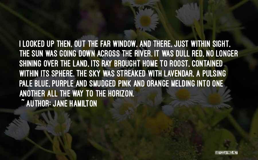 Purple Sky Quotes By Jane Hamilton