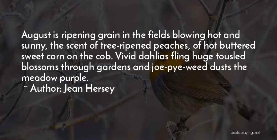 Purple Weed Quotes By Jean Hersey