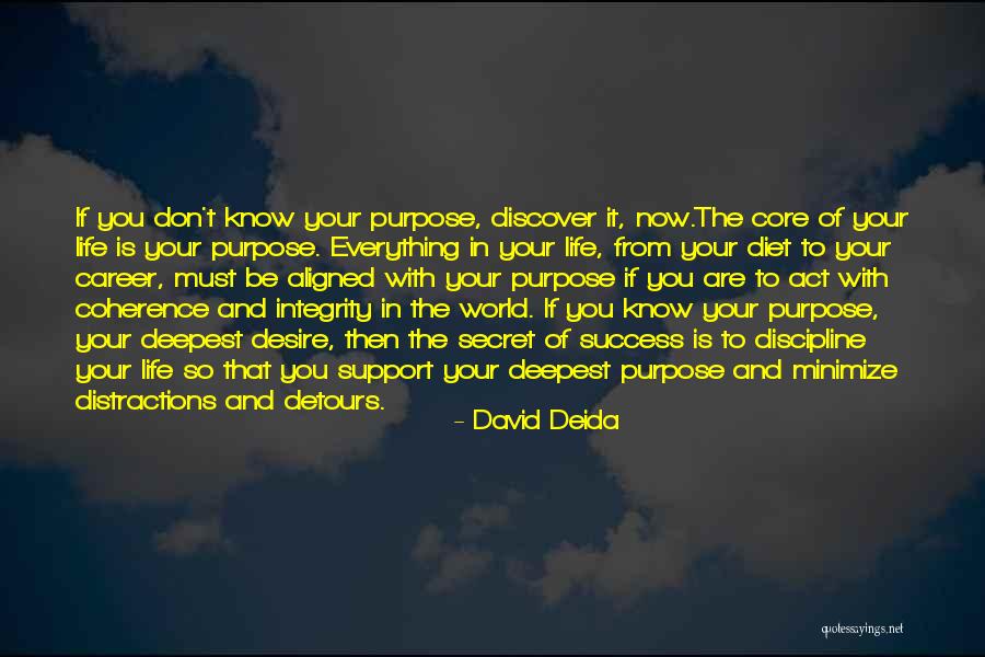 Purpose And Desire Quotes By David Deida