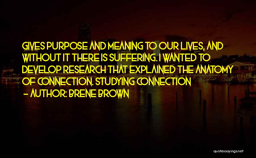 Purpose And Meaning Quotes By Brene Brown