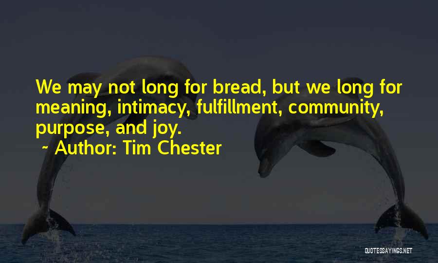 Purpose And Meaning Quotes By Tim Chester