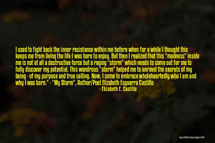 Purpose And Potential Quotes By Elizabeth E. Castillo Purpose And Potential Quotes By Elizabeth E. Castillo