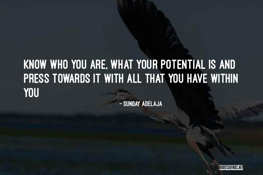 Purpose And Potential Quotes By Sunday Adelaja Purpose And Potential Quotes By Sunday Adelaja