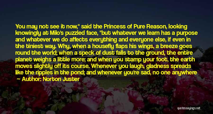 Purpose And Reason Quotes By Norton Juster
