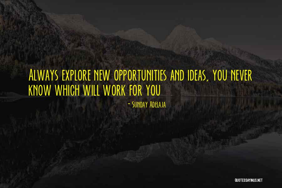 Purpose And Time Quotes By Sunday Adelaja Purpose And Time Quotes By Sunday Adelaja