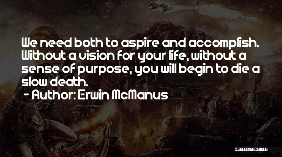 Purpose And Vision Quotes By Erwin McManus