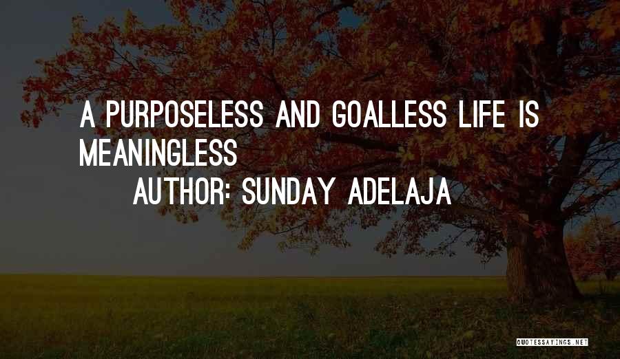 Purpose And Work Quotes By Sunday Adelaja