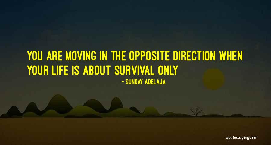 Purpose Direction Quotes By Sunday Adelaja Purpose Direction Quotes By Sunday Adelaja