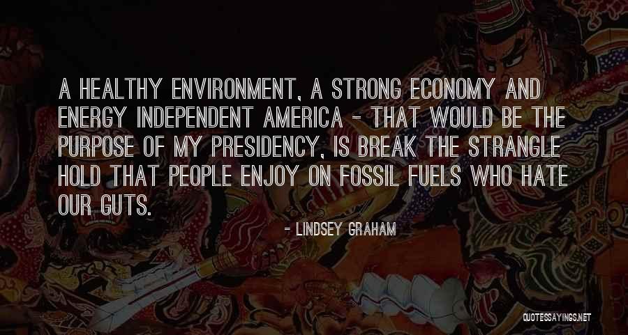Purpose Energy Quotes By Lindsey Graham Purpose Energy Quotes By Lindsey Graham