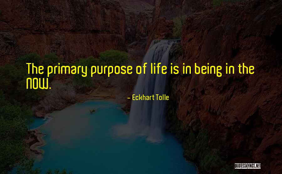 Purpose From Eckhart Tolle Quotes By Eckhart Tolle Purpose From Eckhart Tolle Quotes By Eckhart Tolle